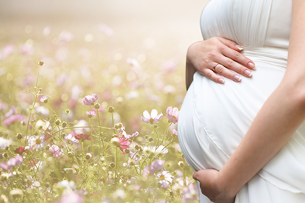 Become a Surrogate in Harrisburg PA, Pennsylvania Surrogates, Pennsylvania Surrogate Mothers, Pennsylvania Surrogacy, Pennsylvania Surrogate Information, Pennsylvania Surrogacy Information