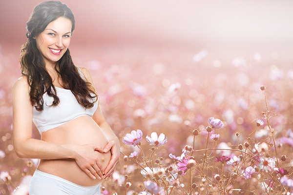 Become a Surrogate in Harrisburg PA, Pennsylvania Surrogates, Pennsylvania Surrogate Mothers, Pennsylvania Surrogacy, Pennsylvania Surrogate Information, Pennsylvania Surrogacy Information