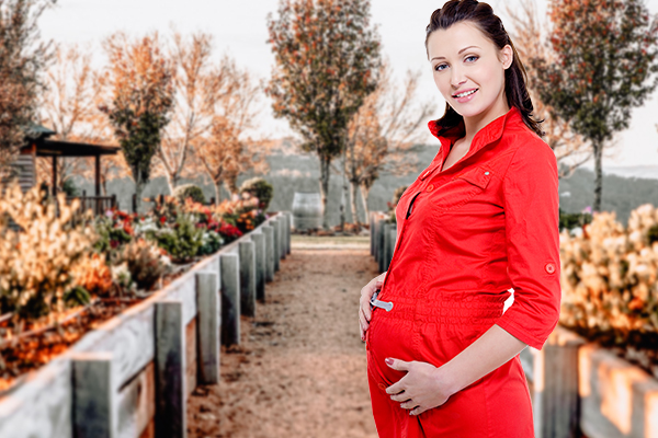 Become a Surrogate in Harrisburg PA, Pennsylvania Surrogates, Pennsylvania Surrogate Mothers, Pennsylvania Surrogacy, Pennsylvania Surrogate Information, Pennsylvania Surrogacy Information