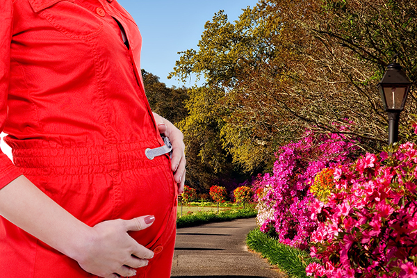 Become a Surrogate in Harrisburg PA, Pennsylvania Surrogates, Pennsylvania Surrogate Mothers, Pennsylvania Surrogacy, Pennsylvania Surrogate Information, Pennsylvania Surrogacy Information