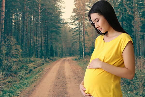 How Much Do Surrogates Make in Harrisburg PA, Surrogate Compensation Harrisburg PA, Surrogate Pay Harrisburg PA, Surrogate Mother Pay Harrisburg PA, Surrogate Mother Compensation Harrisburg PA