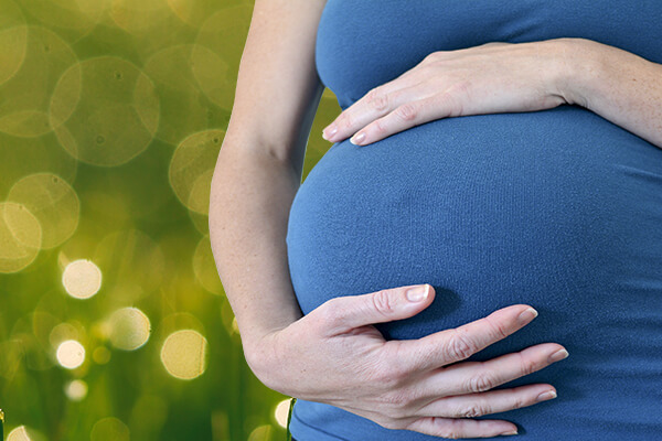 How to Become a Surrogate in Harrisburg PA, How to Become a Surrogate Mother in Harrisburg PA, Surrogate Qualifications Harrisburg PA, Surrogate Mother Qualifications Harrisburg PA, Surrogate, Surrogates, Surrogate Mother