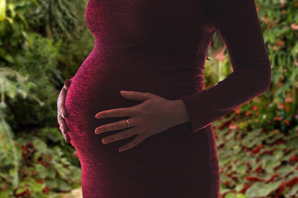How to Become a Surrogate in Harrisburg PA, How to Become a Surrogate Mother in Harrisburg PA, Surrogate Qualifications Harrisburg PA, Surrogate Mother Qualifications Harrisburg PA, Surrogate, Surrogates, Surrogate Mother