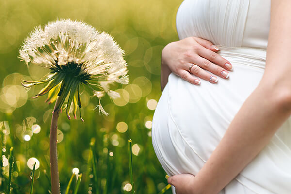 Surrogate Mother Pay Harrisburg PA, Surrogate Pay Harrisburg PA, Surrogate Compensation Harrisburg PA, Surrogate Mother Pay, Surrogate Compensation, Surrogate Pay, Surrogates
